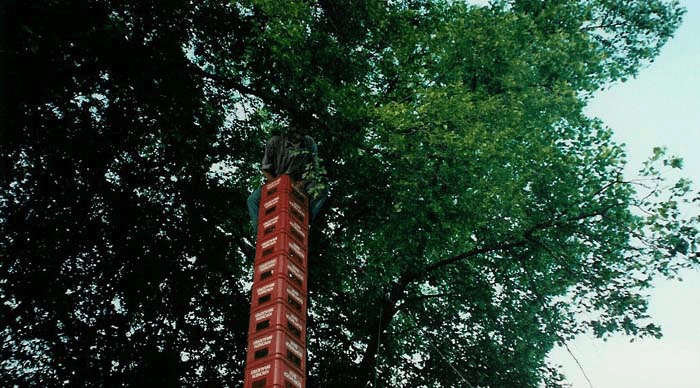 Bierkistenklettern