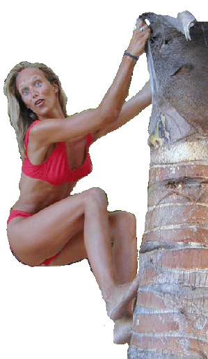 Diana-�ffchen-