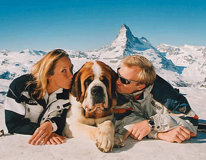 Hund-Zermatt-knutschengros