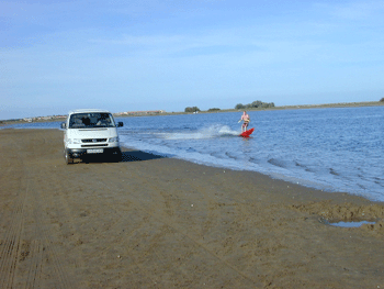KITEBUS_204