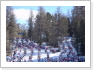 _THUMB_DSC00595