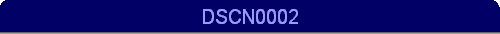 DSCN0002