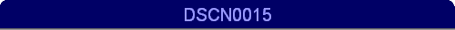 DSCN0015