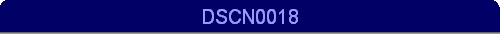 DSCN0018