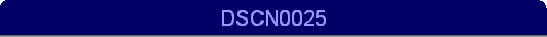 DSCN0025