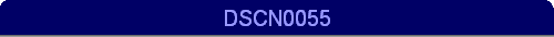 DSCN0055
