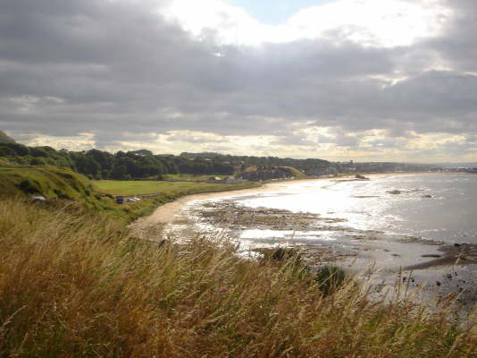 DSC00813