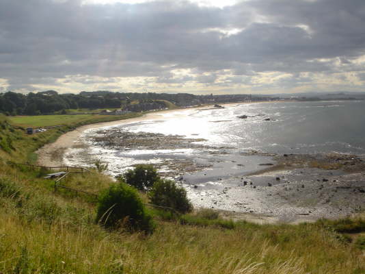 DSC00814