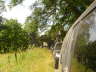 DSC00838