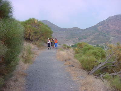 DSC01443