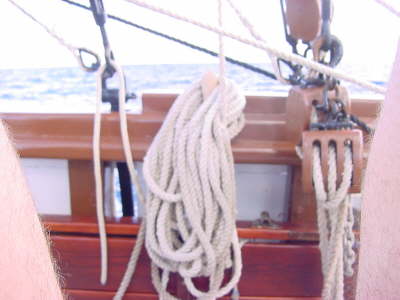 DSC01529