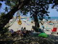 DSCN0009