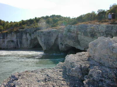 DSCN0046