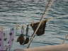 DSCN0671