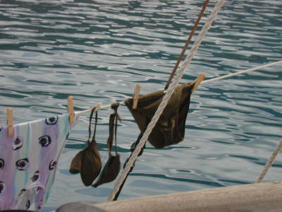 DSCN0671