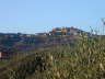 DSCN0697
