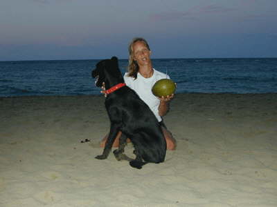 Diana-Hund