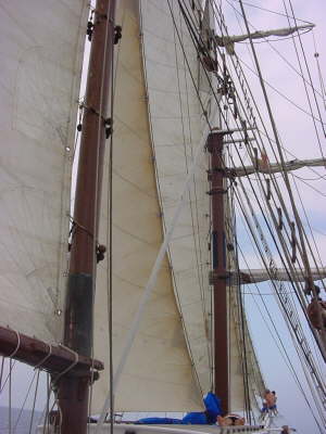 Dsc01481