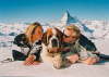 Hund Zermatt knutschen