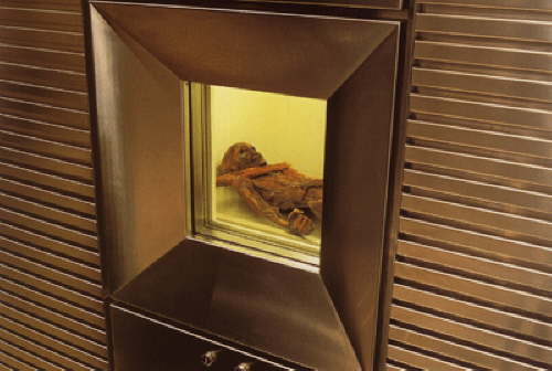 Jetzt lebt er in einem K�hlschrank.