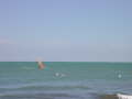 SURFEN