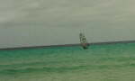 Windsurfen-Stefan